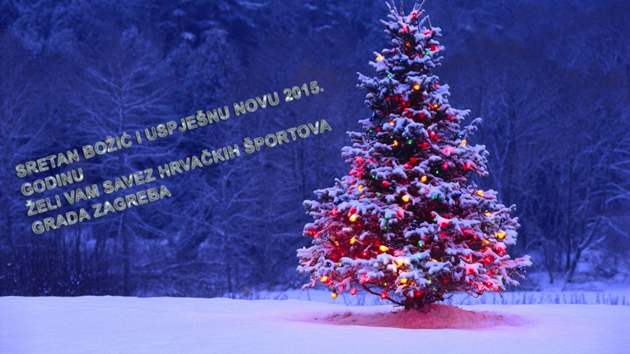 tumblr_static_decorated-christmas-tree
